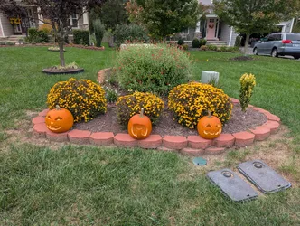 calabazas