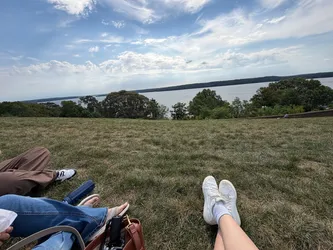 mount vernon aesthetic