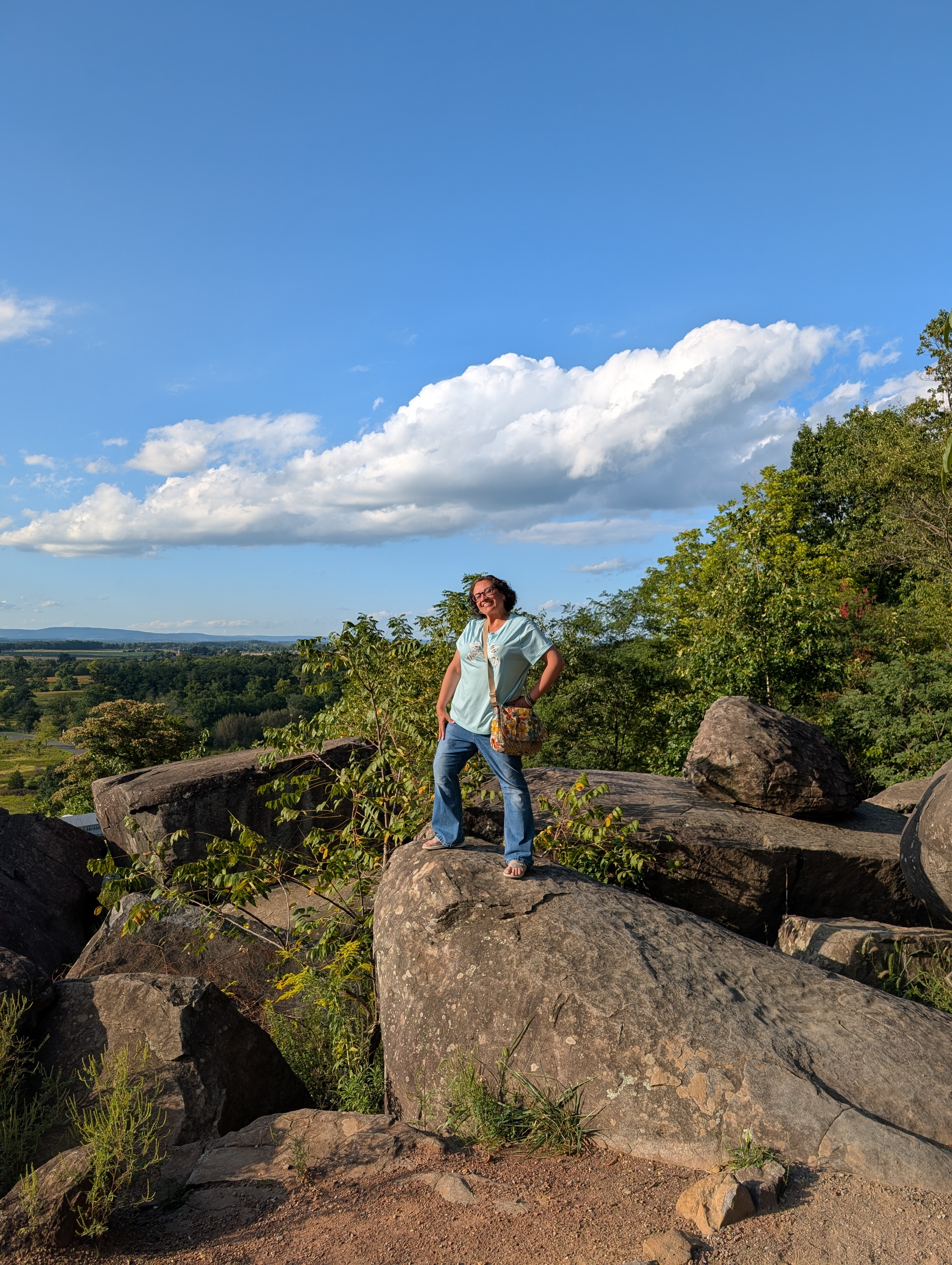michele gettysburg